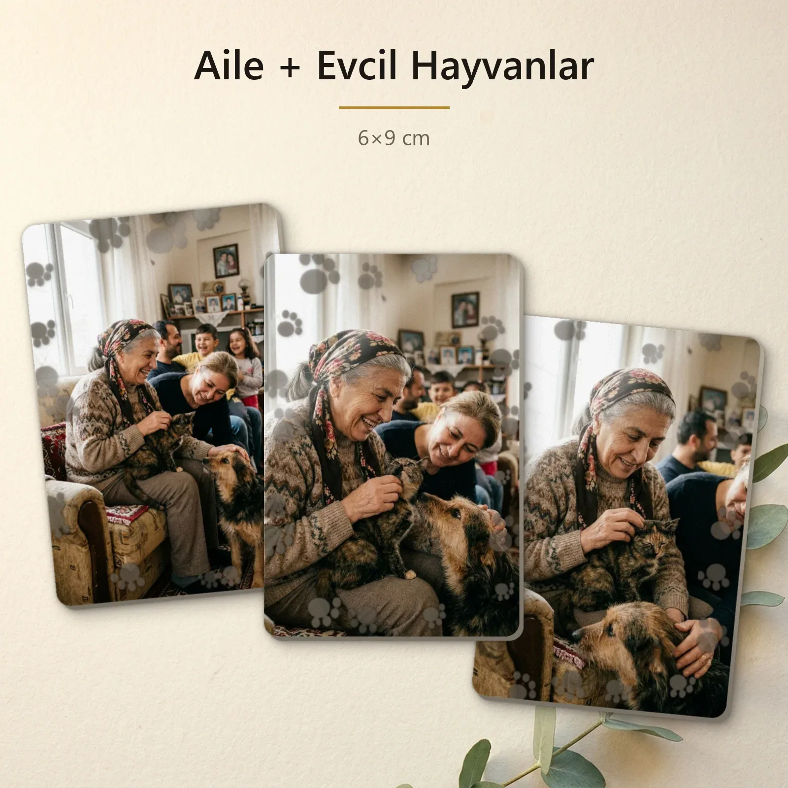 Aile + Evcil Hayvanlar