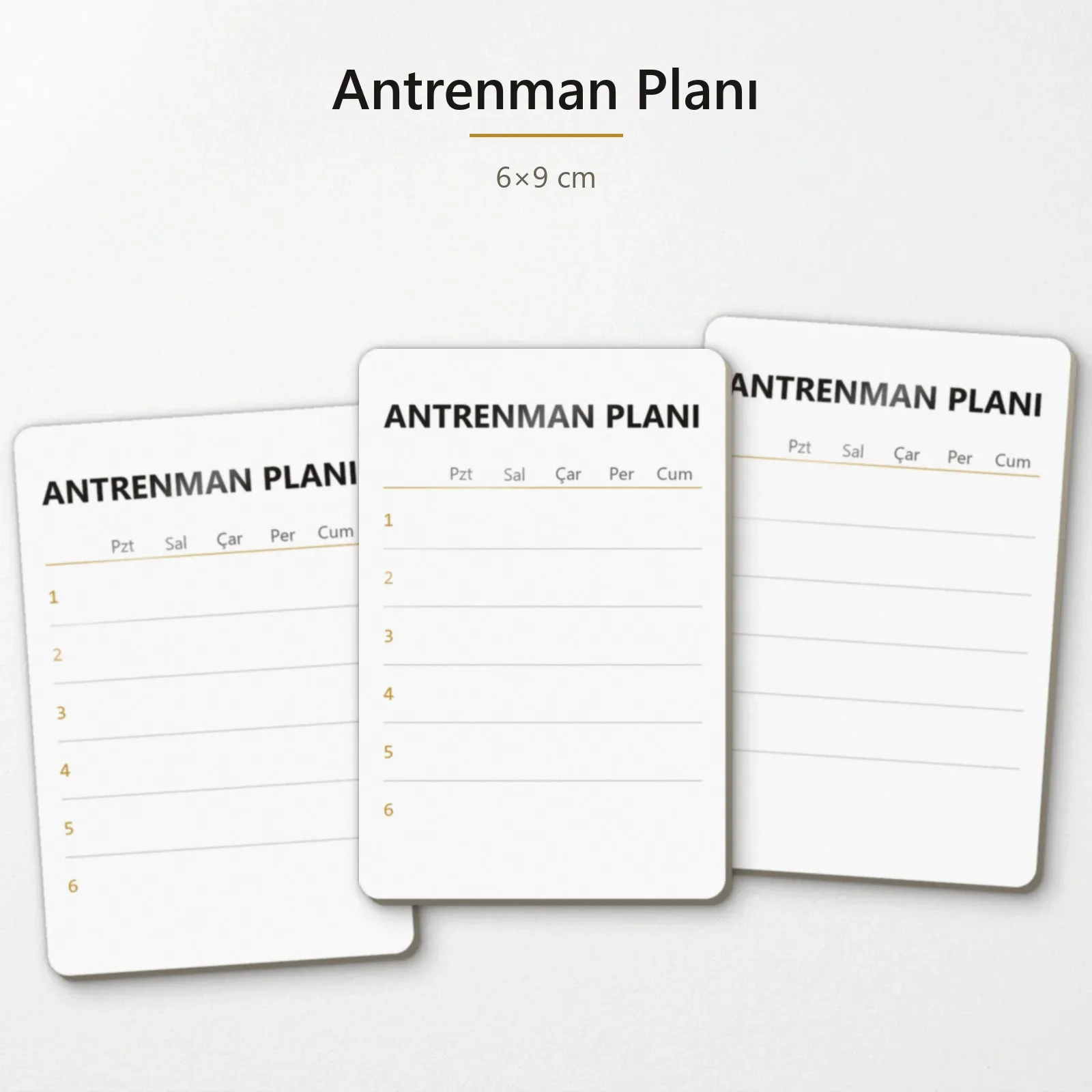 Antrenman Planı